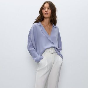 Aritzia Babaton Martin Blouse